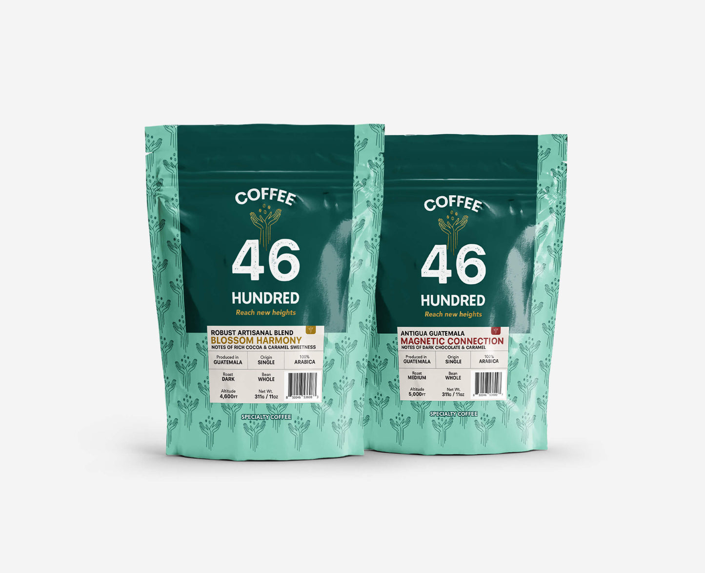 Two Legends – Antigua & Blend (2 Pack)