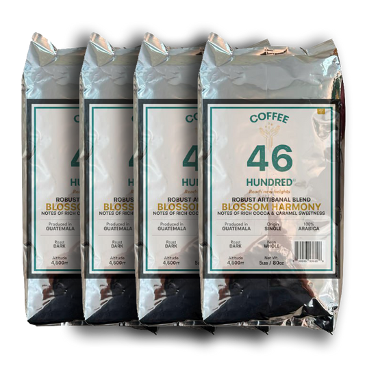 Robust Artisanal Blend 4 Pack - 5 LBS each bag